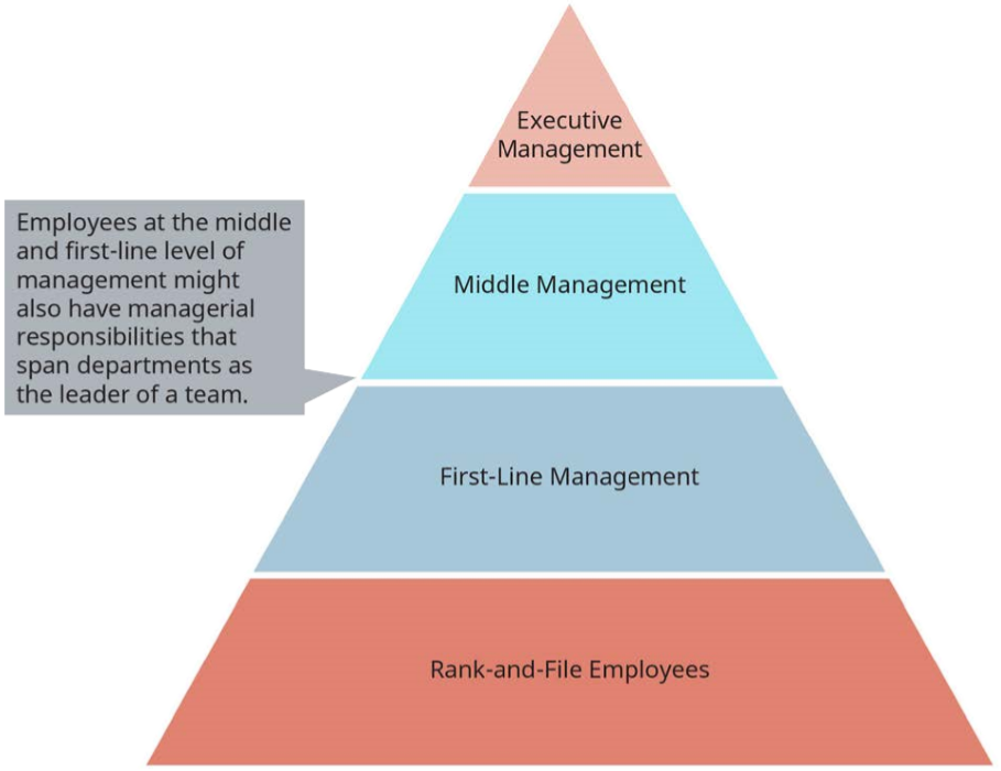 إدارة Hierarchy.png