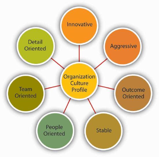 Types of OCP. Innovative, agressive, outcome oriented, stable, people oriented, team oriented, detail oriented