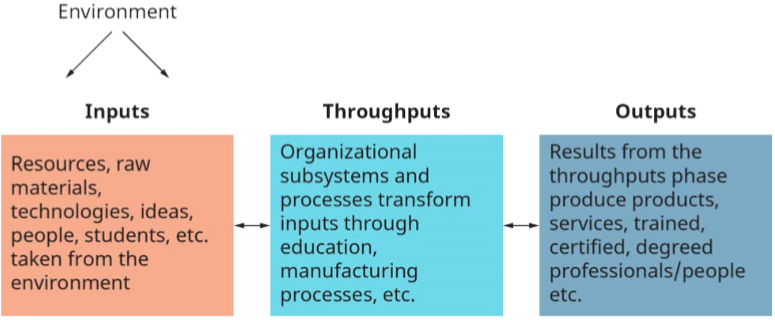Organization.png 的开放系统模型