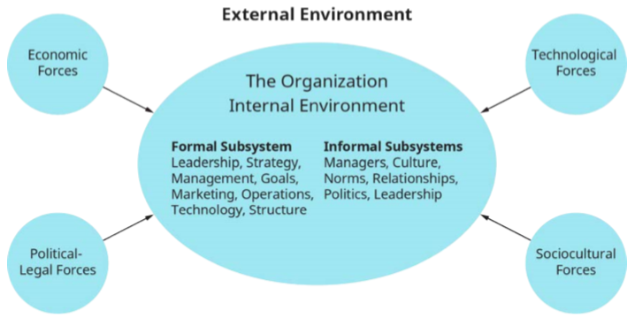 Organization.png interne