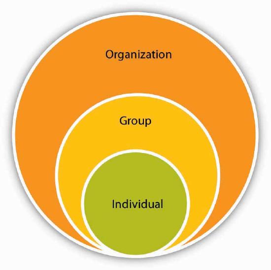  Diagram in which a circle labeled "individual" is nested within a circle labeled "group", which in turn is nested within a circle labeled "organization."