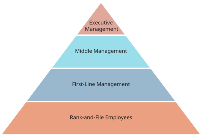 Pirámide de abajo a arriba: rango y archivo, gestión de primera línea, dirección media, dirección ejecutiva