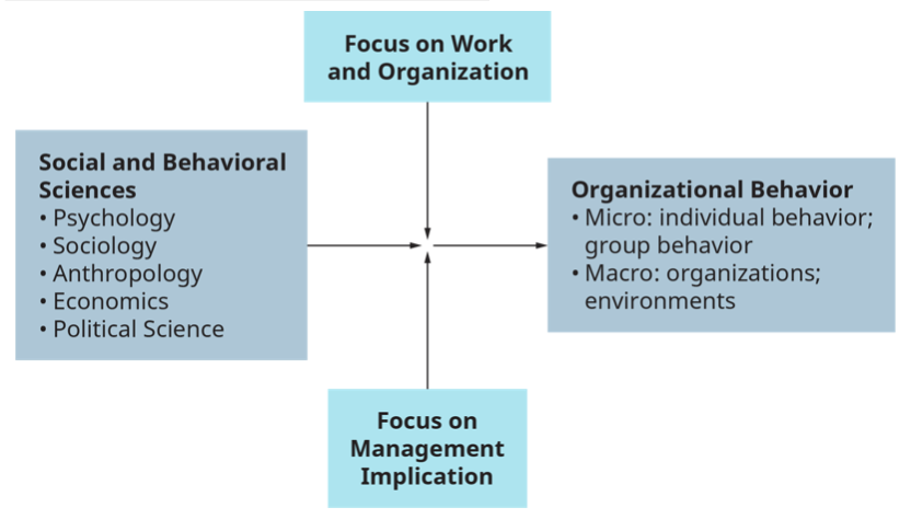 role of organisational behaviour in management