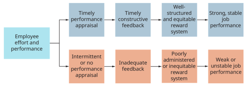 Figure 2 The Performance Appraisal and Reward Process (Attribution: Copyright Rice University, OpenStax, under CC BY-NC-SA 4.0 license)