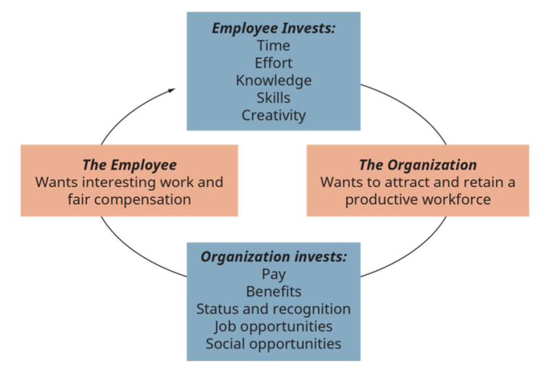 Figure 6 The Exchange Process Between Employee and Organization (Attribution: Copyright Rice University, OpenStax, under CC BY-NC-SA 4.0 license)