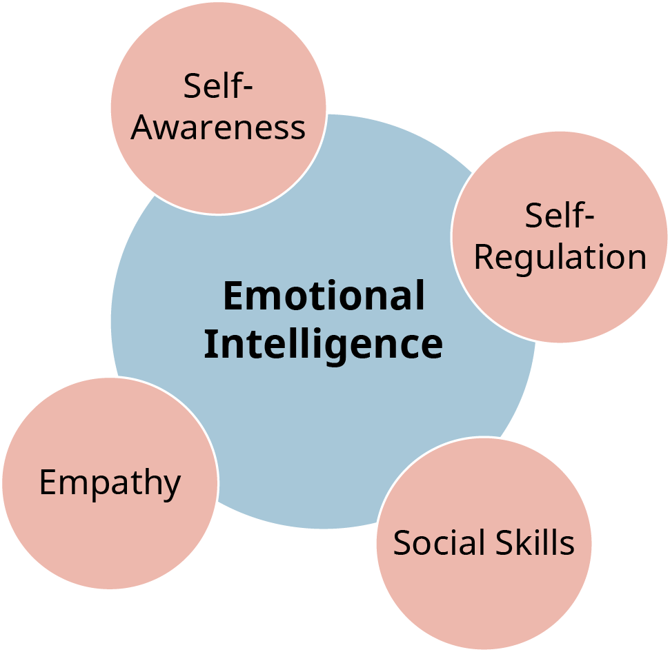 يُظهر الرسم التخطيطي «الوعي الذاتي» و «التنظيم الذاتي» و «المهارات الاجتماعية» و «التعاطف» كمكونات مختلفة للذكاء العاطفي.