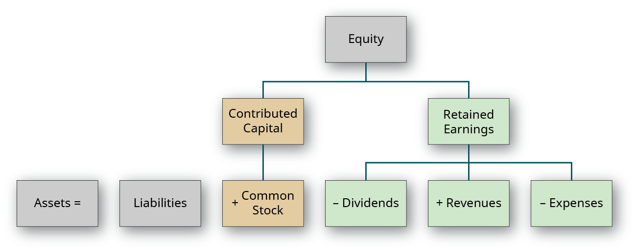 A hierarchical group of boxes. The top box is labeled Equity. The next row connected by a line has two boxes, labeled left to right: Contributed Capital and Retained Earnings. There are three boxes below Contributed Capital, labeled left to right: Assets equal; Liabilities; plus Common Stock. Common Stock is connected to Contributed Capital by a line while Assets equal and Liabilities are not. There are three boxes below Retained Earnings connected by a line, labeled left to right: minus Dividend; plus Revenues; minus Expenses.