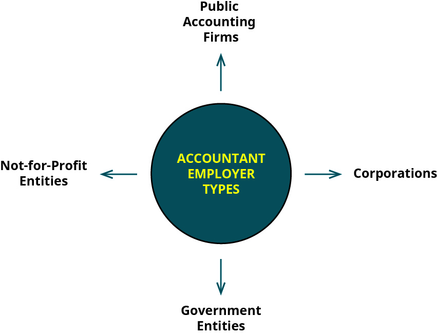 图中有一个标有 “会计师雇主类型” 的圆圈，标识了四种类型：公共会计师事务所、公司、政府实体和非营利实体。