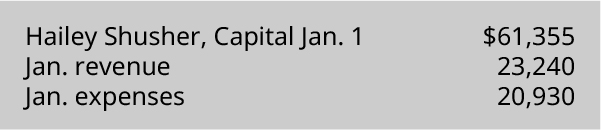 Hailey Shusher, capitale du 1er janvier 61 355 dollars, recettes de janvier 23 240, dépenses de janvier 20 930.