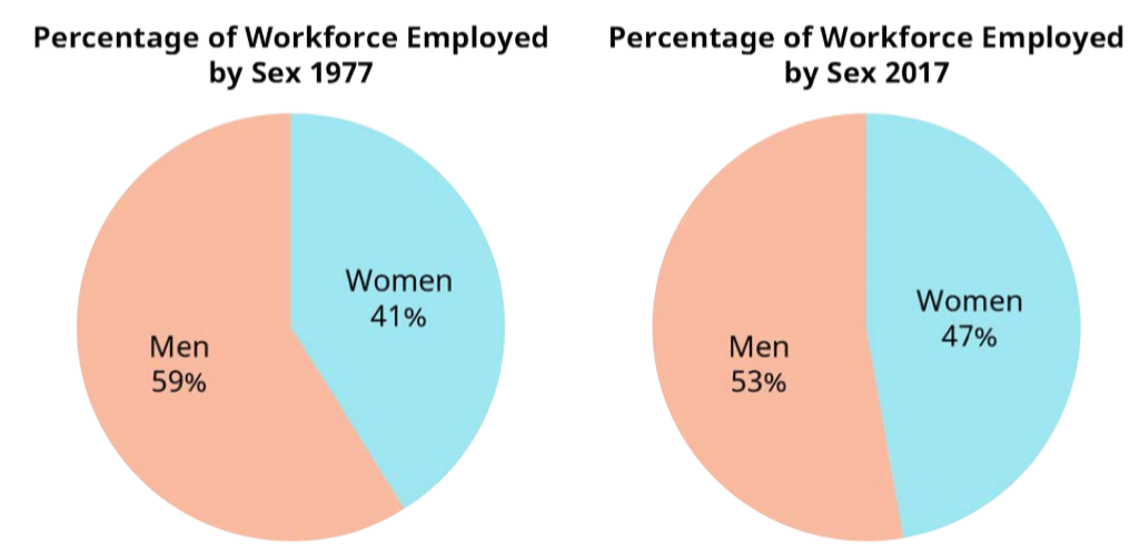Percentage Distribution of the Labor Force by Sex.png