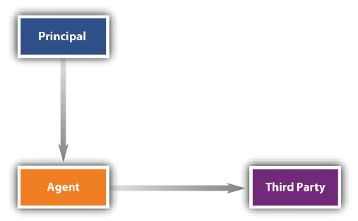 Captura de pantalla (414) .png