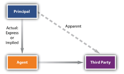 Captura de pantalla (421) .png