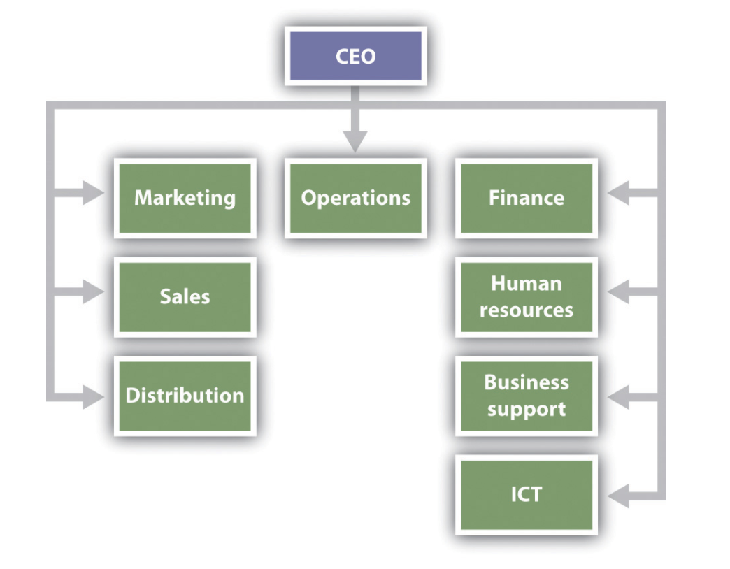Estructura funcional con el CEO trabajando con departamentos como marketing, ventas, distribución, operaciones, finanzas, RRHH, soporte y TIC