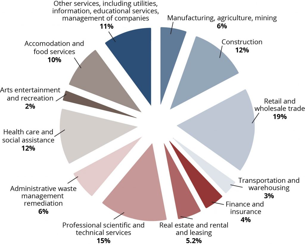 A pie chart of percentages of small businesses separated by industry in 2012. Listed in order from largest percentage to smallest percentage: Retail and wholesale trade, 19%; Professional scientific and technical services, 15%; Construction, 12%; Health care and social assistance, 12%; Other services, including utilities, information, educational services, management of other companies, 11%; Accommodation and food services, 10%; Manufacturing, agriculture, mining, 6%; Administrative waste management remediation, 6%; Real estate and rental and leasing, 5.2%; Finance and insurance, 4%; Transportation and warehousing, 3%; Arts entertainment and recreation, 2%.
