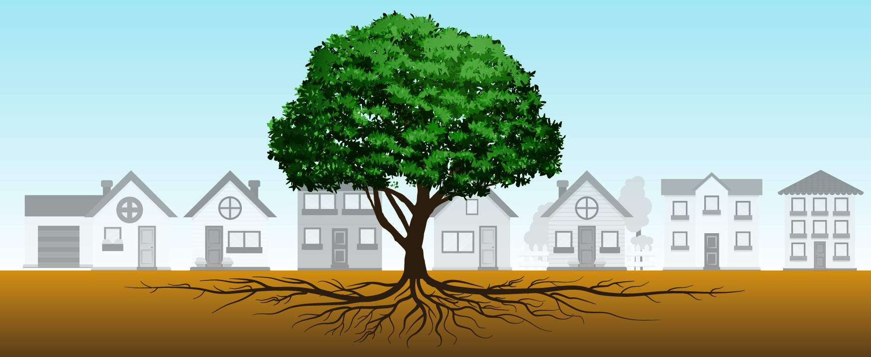 Uma árvore cresce centrada na frente de uma fileira de casas. As raízes da árvore se espalham no subsolo, estendendo a largura da fileira de casas em ambas as direções.
