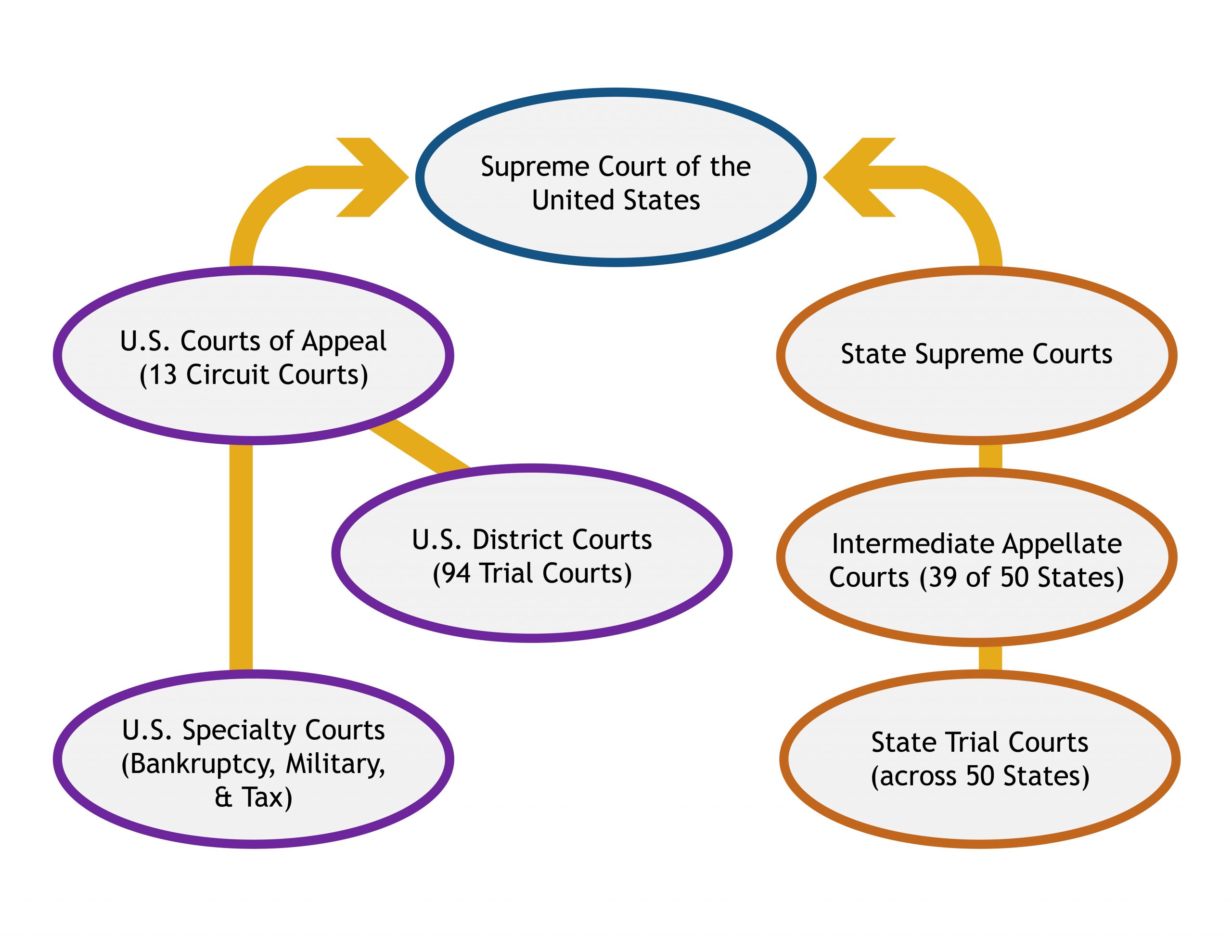 Diagrama de flujo que muestra la estructura de los tribunales de primera instancia y apelación