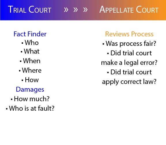 gráfico que muestra las funciones de los tribunales de primera instancia y apelación