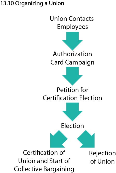 Flow chart showing process of organizing a union