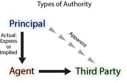 gráfico que muestra los tipos de autoridad desde el principal hasta el agente
