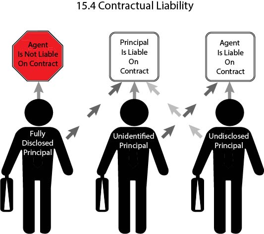 Gráfico que muestra cuándo agente y agente son responsables de los contratos