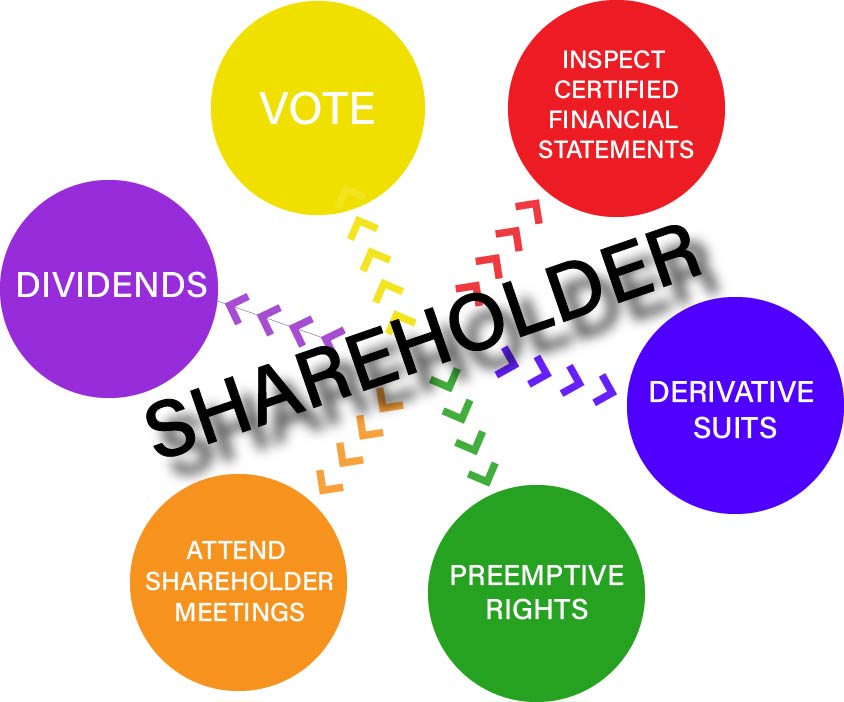 Gráfico que muestra los seis tipos de derechos de los accionistas