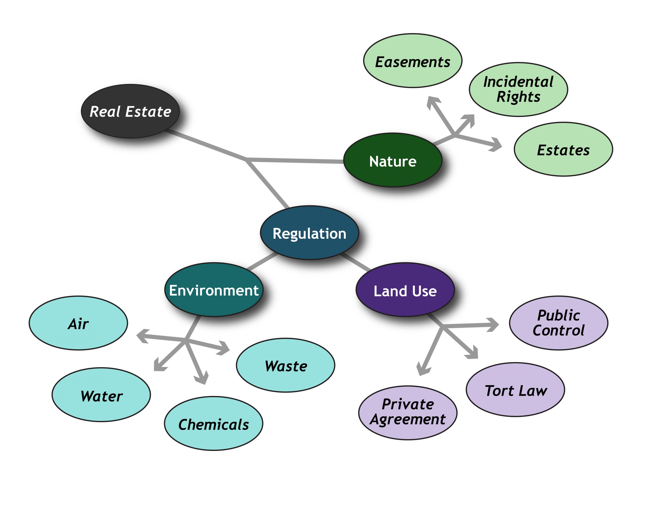 Diagrama que muestra los tipos de causas legales de acción inmobiliaria