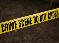 mindtouch.page#thumbnail