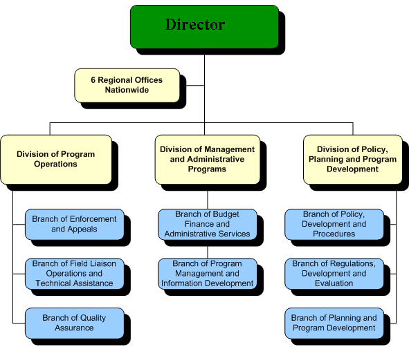 Chart of the hierarchy within employment. The director is above everyone with 6 Regional Offices Nationwide directly below it. Below that is the division of program operations, division of management and administrative programs, and division of policy, planning, and program development. Below Division of program operations is the branch of enforcement and appeals, branch of field liaison operations and technical assistance, branch of quality assurance. Below the division of management and administrative programs is the branch of budget finance and administrative services and branch of program management and information development. Below the division of planning and program development is the branch of policy development and procedures, branch of regulations development and evaluation, and branch of planning and program development.