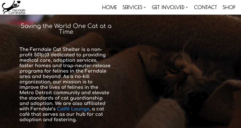 Screenshot of Ferndale Cat Shelter's website homepage. The title reads, "Saving the World One Cat at a Time." The body text reads, "The Ferndale Cat shelter is a non-profit dedicated to providing medical care, adoption services, foster homes and trap-neuter-release programs for felines in the Ferndale area and beyond. As a no-kill organization, our mission is to improve the lives of felines in the Metro Detroit community and elevate the standards of cat guardianship and adoption. We are also affiliated with Ferndale's Cafe Lounge, a cat cafe that serves as our hub for cat adoption and fostering."