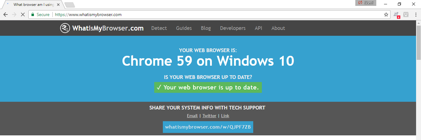 A website that informs you of whether or not your browser is configured appropriately.