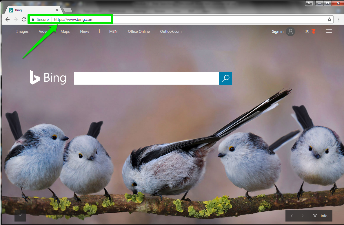 The Bing home URL is in the address bar. There is a green arrow pointing at the address bar which is highlighted by a green box.
