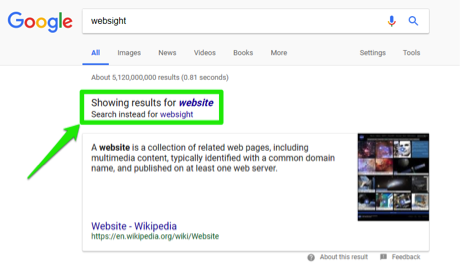 A google search has been entered for, websight. There is a green box surrounding the, "showing results for" section of the site.