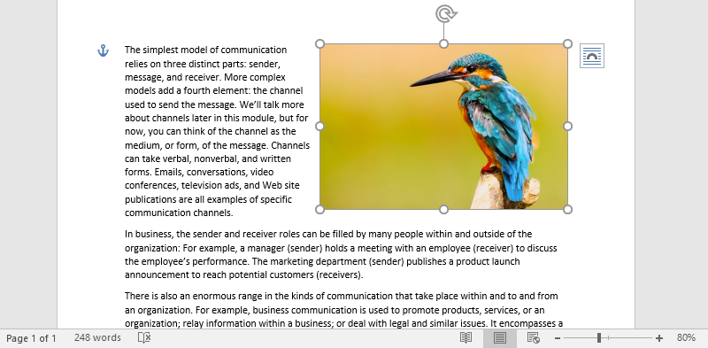 A Microsoft Word document is open with text on it. On the document an image of a colorful kingfisher is visible. The text has been wrapped around the image forcing the image to go to the right of the document.