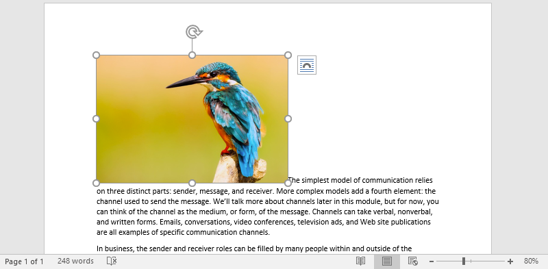 A Microsoft Word document is open with text on it. On the document an image of a colorful kingfisher is visible.