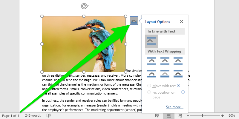 A Microsoft Word document is open with text on it. On the document an image of a colorful kingfisher is visible. In the top right corner of the image is a button which opens up a dropdown menu for layout options. A large green arrow is pointing at the button on the top right of the image.