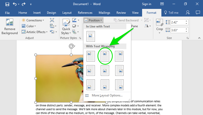 A Microsoft Word document is open with text on it. On the document an image of a colorful kingfisher is visible. Under the format tab on the ribbon menu the option to position the image has been selected resulting in a new dropdown menu. A green arrow is pointing at a green oval which is highlighting which text wrap option has been selected.