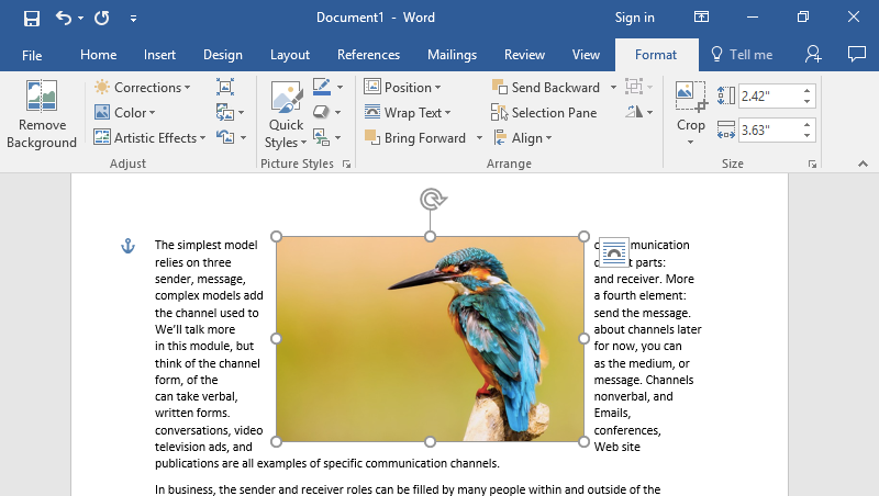 A Microsoft Word document is open with text on it. On the document an image of a colorful kingfisher is visible. The text has been wrapped to either side of the image, making the image the center of the page.