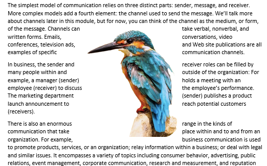A Microsoft Word document is open with text on it. On the document an image of a colorful kingfisher is visible. This is showing an image with "Square Wrap Text".