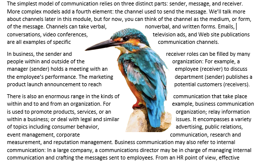 A Microsoft Word document is open with text on it. On the document an image of a colorful kingfisher is visible. This is showing an image with "Tight Text Wrap".