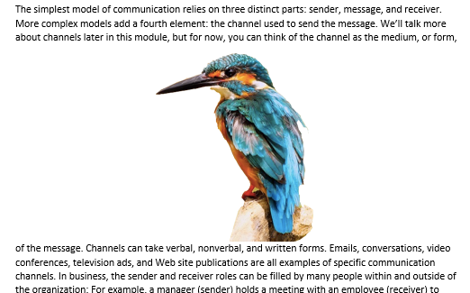 A Microsoft Word document is open with text on it. On the document an image of a colorful kingfisher is visible. This is showing an image with "Top and Bottom Text Wrap".