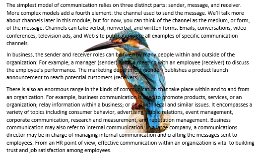 A Microsoft Word document is open with text on it. On the document an image of a colorful kingfisher is visible. This is showing an image with "Behind Text" being applied.