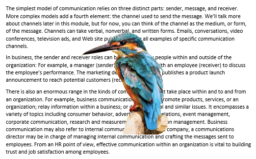 A Microsoft Word document is open with text on it. On the document an image of a colorful kingfisher is visible. This is showing an image with "In Front of Text" wrapping.