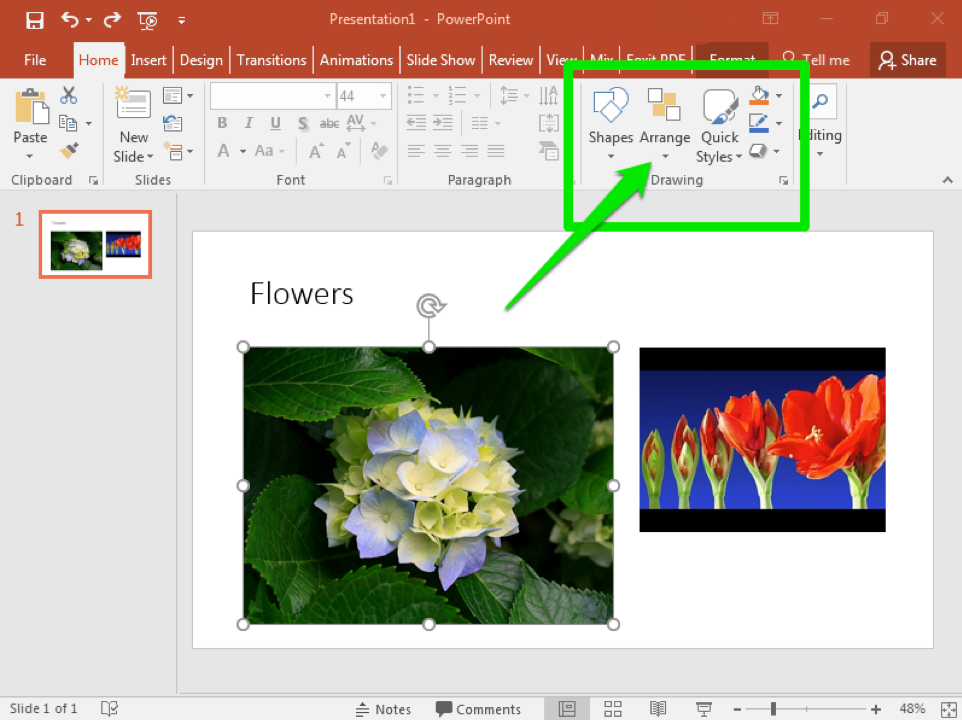 A Microsoft Powerpoint is open with a video on the first and only slide there is also an image of a flower to the left of the video. There is a green box highlighting different formatting options and a green arrow pointing at the option to arrange the content on the page.