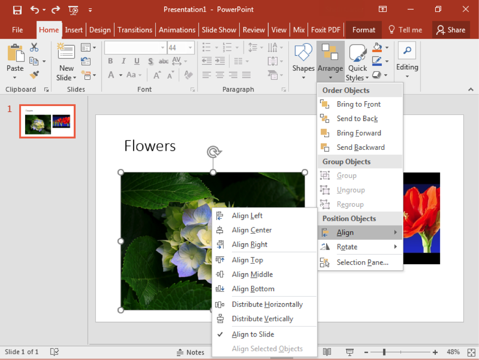 A Microsoft Powerpoint is open with a video on the first and only slide there is also an image of a flower to the left of the video. A dropdown menu from the arrange feature has opened. In the arrange dropdown menu, a new dropdown menu has appeared from the align feature.