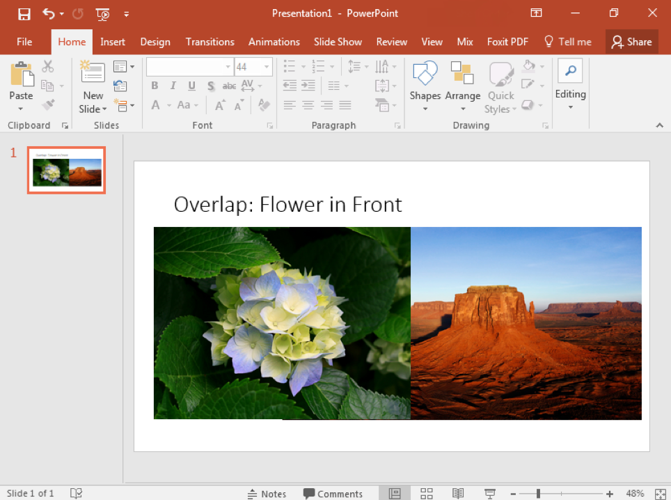 A Microsoft Powerpoint is open to the first and only slide with an image of a flower overlapping an image of a desert to the right.