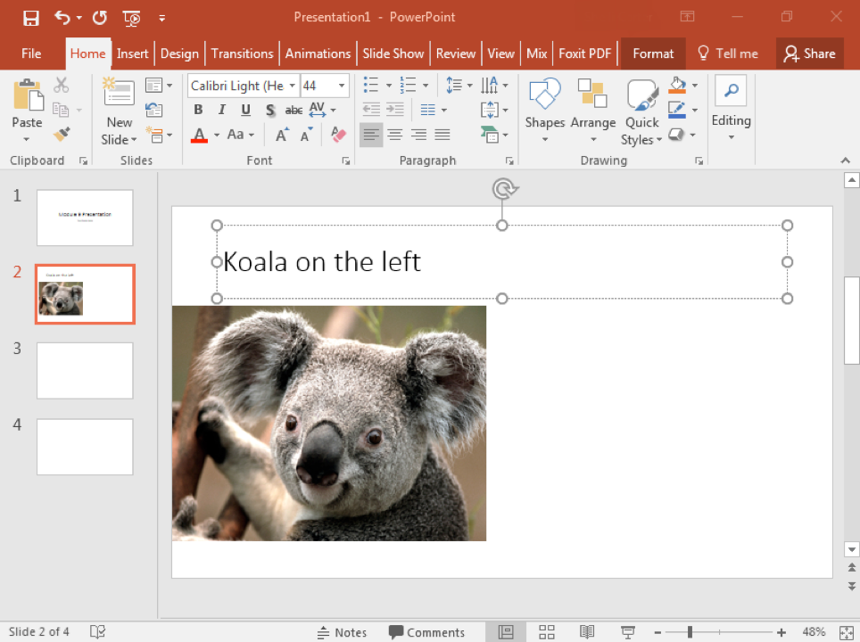 A Microsoft Powerpoint is open with 4 slides displayed. On the second slide an image of a koala has been inserted.