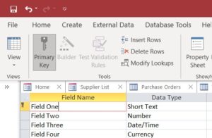 Microsoft Access screenshot showing Field One highlighted and Primary Key selected in the menu bar.