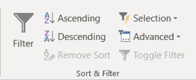 Microsoft Access Filter tool bar. Options include Ascending (a to z), Descending (z to a), Selection (with a dropdown menu), Advanced (with a dropdown menu), Remove Sort, and Toggle Filter. The words "Sort & Filter" are at the bottom middle of the toolbar.