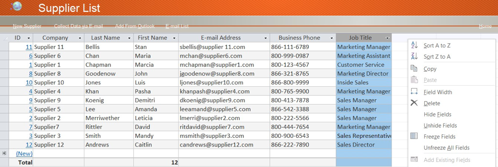 "Supplier List" spreadsheet open and Job Title column selected. The user has right clicked the column header and opened the dialogue box which appears at the right of the selected column.