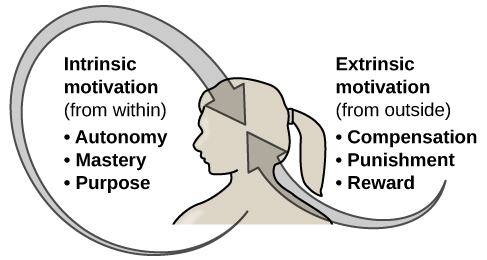 See image caption for link to alternative text for "Figure 1. Intrinsic Motivation, Extrinsic Motivation."